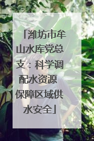 潍坊市牟山水库党总支：科学调配水资源 保障区域供水安全