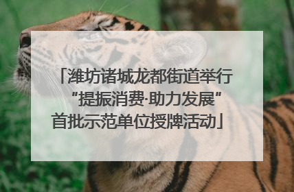 潍坊诸城龙都街道举行“提振消费·助力发展”首批示范单位授牌活动