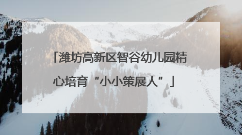 潍坊高新区智谷幼儿园精心培育“小小策展人”