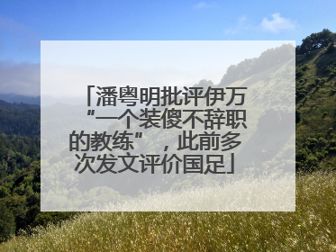 潘粤明批评伊万“一个装傻不辞职的教练”，此前多次发文评价国足