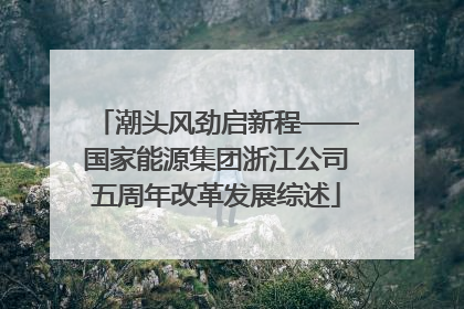 潮头风劲启新程——国家能源集团浙江公司五周年改革发展综述
