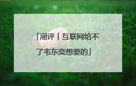 潮评丨互联网给不了韦东奕想要的