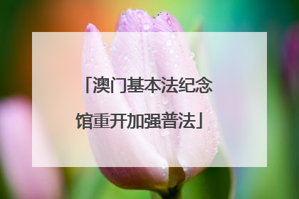 澳门基本法纪念馆重开加强普法