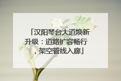 汉阳琴台大道焕新升级：道路扩容畅行，架空管线入廊