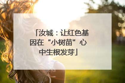 汝城：让红色基因在“小树苗”心中生根发芽