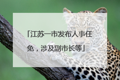 江苏一市发布人事任免，涉及副市长等
