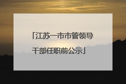 江苏一市市管领导干部任职前公示