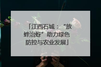 江西石城：“放蜂治蚜”助力绿色防控与农业发展