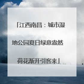 江西南昌：城市湿地公园夏日绿意盎然 荷花渐开引客来