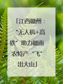 江西赣州：“无人机+高铁”助力赣南农特产“飞”出大山
