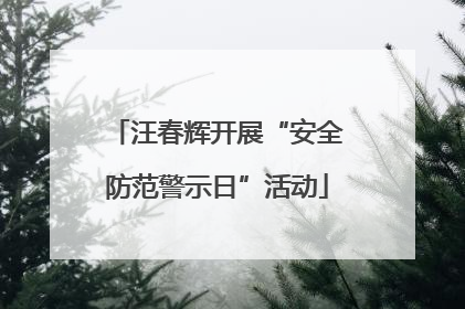 汪春辉开展“安全防范警示日”活动