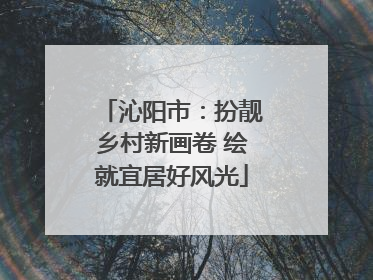 沁阳市：扮靓乡村新画卷 绘就宜居好风光