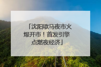 沈阳歇马夜市火爆开市！首发引擎点燃夜经济