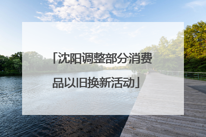 沈阳调整部分消费品以旧换新活动