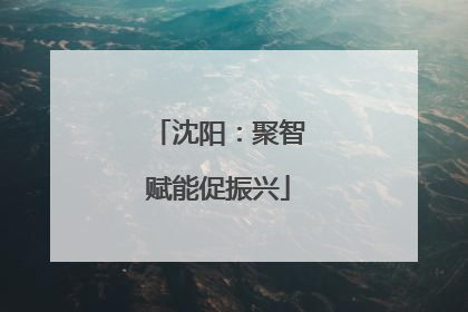 沈阳：聚智赋能促振兴