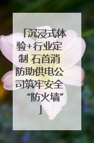 沉浸式体验+行业定制 石首消防助供电公司筑牢安全“防火墙”