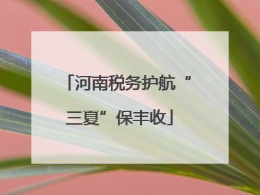 河南税务护航“三夏”保丰收