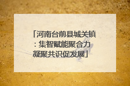 河南台前县城关镇：集智赋能聚合力 凝聚共识促发展