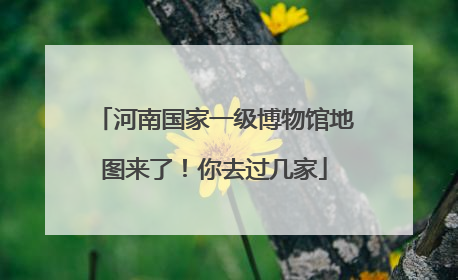 河南国家一级博物馆地图来了！你去过几家