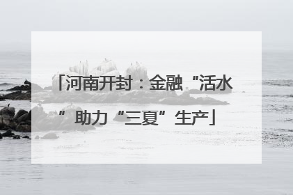 河南开封：金融“活水”助力“三夏”生产