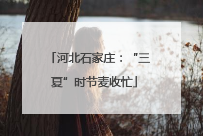河北石家庄：“三夏”时节麦收忙