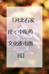 河北石家庄：中医药文化夜市惠民