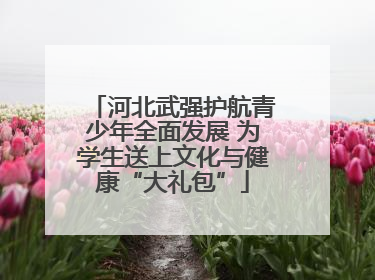河北武强护航青少年全面发展 为学生送上文化与健康“大礼包”