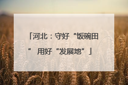 河北：守好“饭碗田” 用好“发展地”