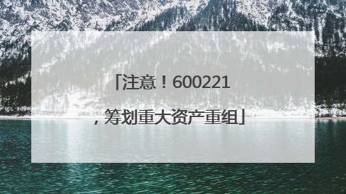 注意！600221，筹划重大资产重组