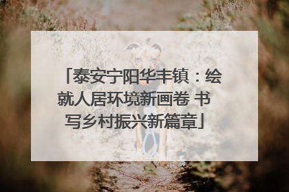 泰安宁阳华丰镇：绘就人居环境新画卷 书写乡村振兴新篇章