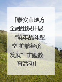 泰安市地方金融组织开展“筑牢战斗堡垒 护航经济发展”主题教育活动
