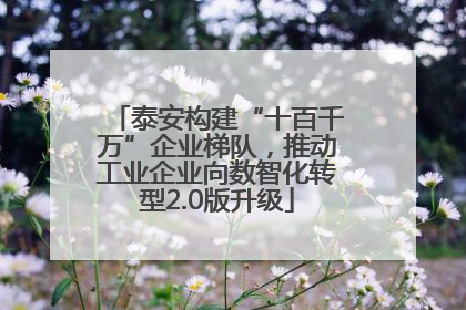 泰安构建“十百千万”企业梯队，推动工业企业向数智化转型2.0版升级
