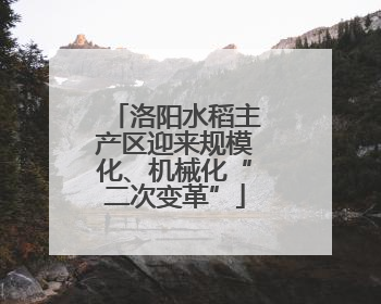 洛阳水稻主产区迎来规模化、机械化“二次变革”