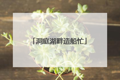 洞庭湖畔造船忙