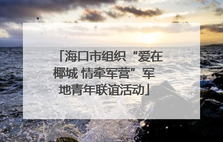 海口市组织“爱在椰城 情牵军营”军地青年联谊活动