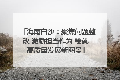 海南白沙：聚焦问题整改 激励担当作为 绘就高质量发展新图景