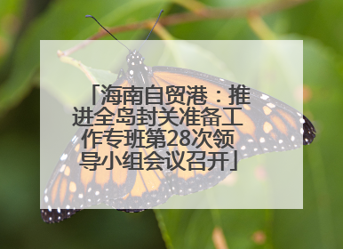 海南自贸港：推进全岛封关准备工作专班第28次领导小组会议召开