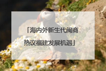 海内外新生代闽商热议福建发展机遇