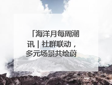 海洋月每周潮讯｜社群联动，多元场景共绘蔚蓝新章