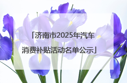 济南市2025年汽车消费补贴活动名单公示