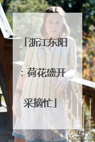 浙江东阳：荷花盛开采摘忙