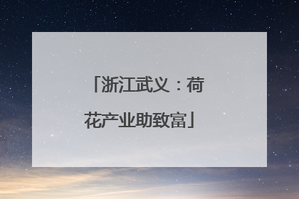 浙江武义：荷花产业助致富