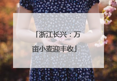 浙江长兴：万亩小麦迎丰收