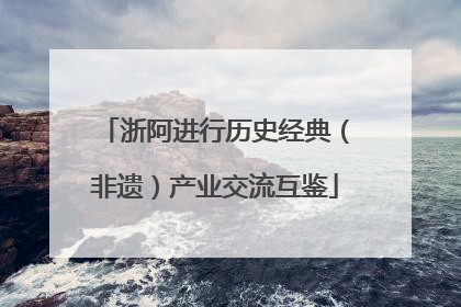 浙阿进行历史经典（非遗）产业交流互鉴