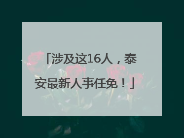 涉及这16人，泰安最新人事任免！