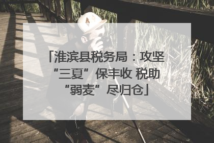 淮滨县税务局：攻坚“三夏”保丰收 税助“弱麦”尽归仓