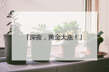 深夜，黄金大涨！