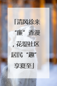 清风徐来“廉”香漫，花堤社区居民“趣”享夏至