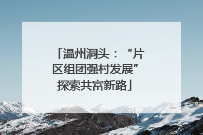 温州洞头：“片区组团强村发展”探索共富新路