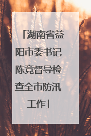 湖南省益阳市委书记陈竞督导检查全市防汛工作